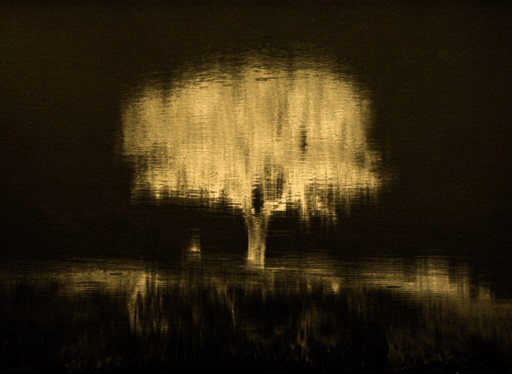 ©Angélica de la LLave