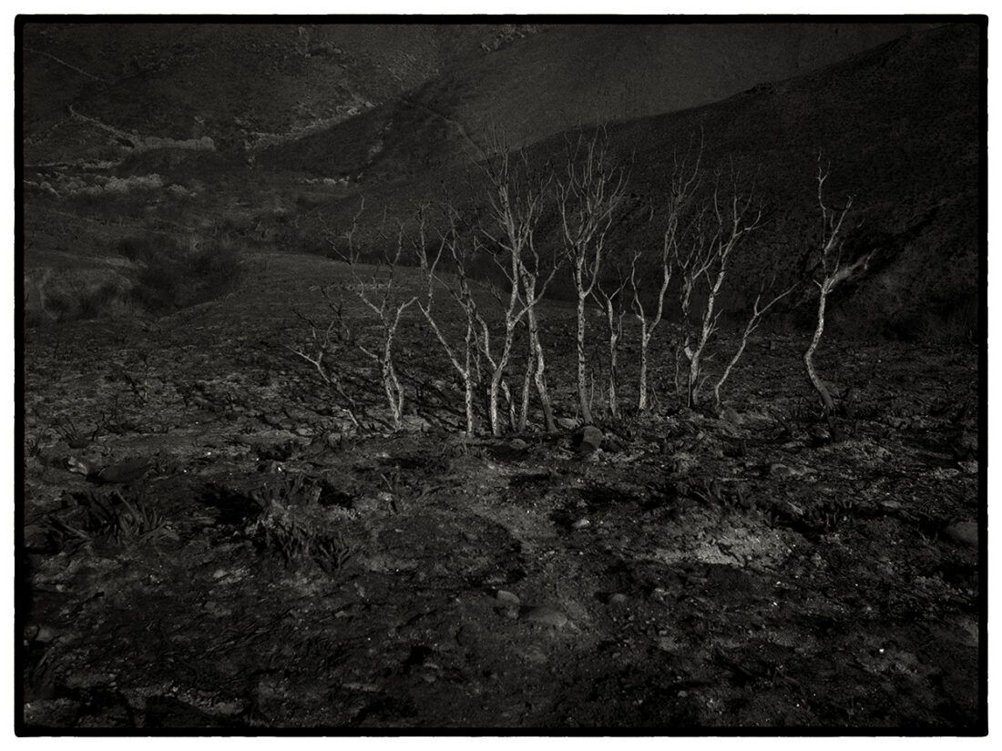 ©Luis de las Alas