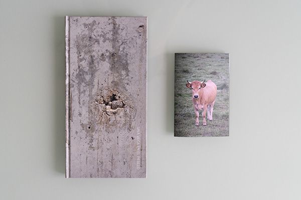 Fotolibro: Una vaca en el pasillo de Javier Villabrille